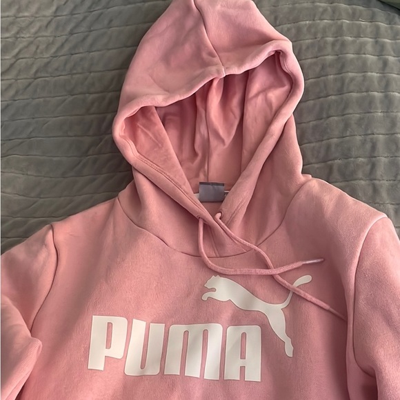 Puma - Picture 2 of 4